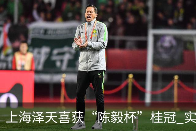 上海泽天喜获“陈毅杯”桂冠 实现业余足球双丰收
