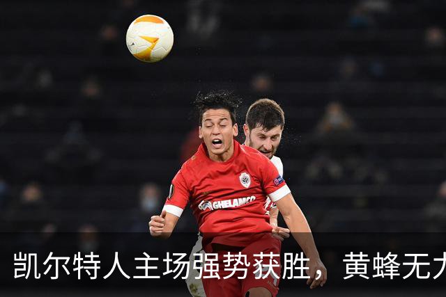 凯尔特人主场强势获胜，黄蜂无力反击