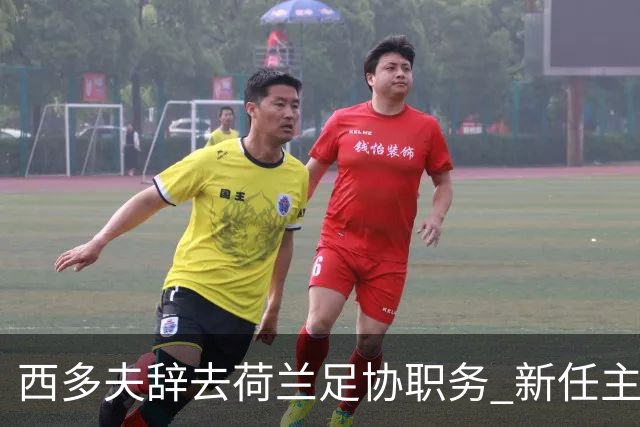 西多夫辞去荷兰足协职务 新任主帅将执掌科林蒂安